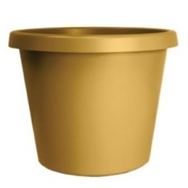 Classic Prima Planter Honey