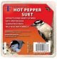 SUET FOF HOT PEPPER