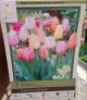 TULIP EASTER JOY MIXTURE 8PP