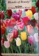 TULIP  BREEDERS MIXTURE 15PP