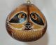 ORNAMENT GOURD  - RACOON