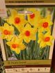 NARCISSUS BRAKENHURST 8PP