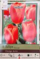 TULIP ORANGE JUICE 8PP