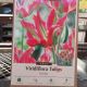 TULIP VIRICHIC 8PP