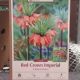 FRITTILARIA RED CROWN IMPERIAL 1PP