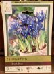 DWARF IRIS DARK BLUE 25PP