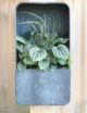 VINCA WALL PLANTER