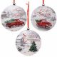 ORNAMENT METAL PUFFY  - ASSORTED