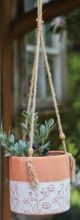 LA PAZ HANGING PLANTER