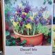 DWARF IRIS MIX 25PP