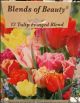 TULIP FRINGED MIX 12PP