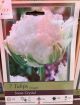 TULIP SNOW CRYSTAL 7PP