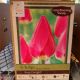 TULIP ROSY DELIGHT 6PP