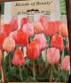 TULIP BLUSH BLEND 20PP