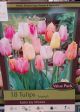 TULIP EASTER JOY MIX 18PP