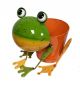 FLOWER POT FROG