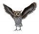 GREY HORNED OWL WINGS UP