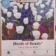 TULIP AND MUSCARI BLEND 36PP