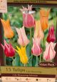 TULIP LILY FLOWERING MIX 15PP