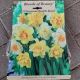 NARCISSUS DOUBLE BLEND 15PP