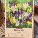 DUTCH IRIS MIX 20PP