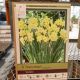 NARCISSUS VERDIN 6PP