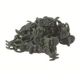 ORCHID CLIPS SUPERMOSS 24PC