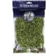 SUPERMOSS SPANISH MOSS GRASS 2OZ.