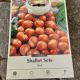 SHALLOTS RED 10PP