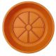 SAUCER 12